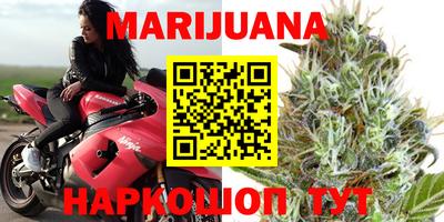 шишки Апшеронск