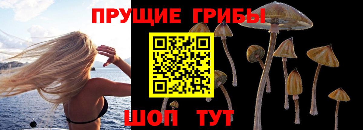 Псилоцибиновые грибы ЛСД Мелеуз