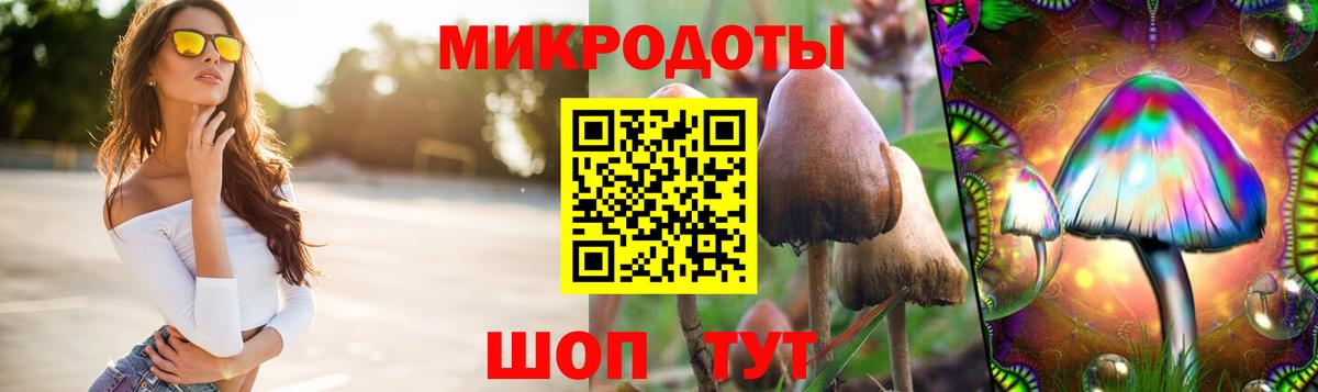 Галлюциногенные грибы мухоморы  дарнет шоп  Мелеуз  Вход с VPN  Галлюциногенные грибы GOLDEN TEACHER 