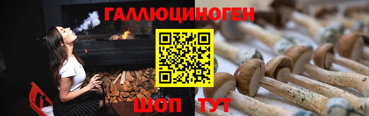 хочу   Галлюциногенные грибы ЛСД  Мелеуз  Галлюциногенные грибы ЛСД 